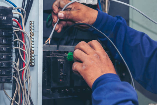 Best Ceiling Fan Installation Electrician  in Hayfork, CA